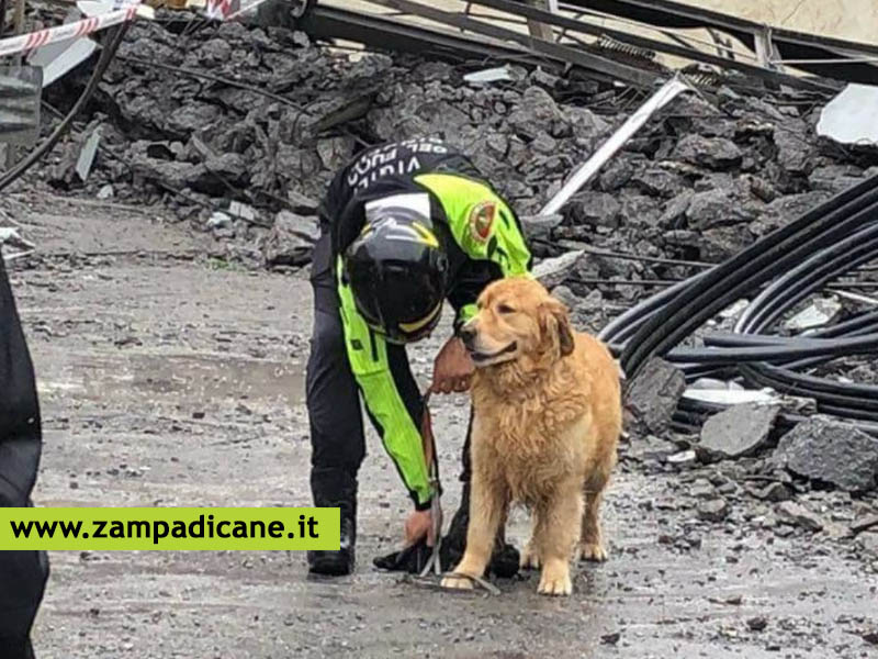 Premiazione per i Vigili del Fuoco e i loro cani intervenuti durante il crollo del ponte Morandi